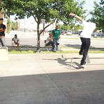 photo 16 of 25