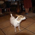 photo 13 of 25