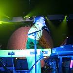 photo 11 of 25