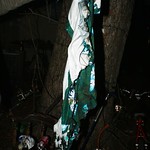 photo 11 of 25