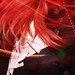 cover photo (the rest of this album is gone from flickr)